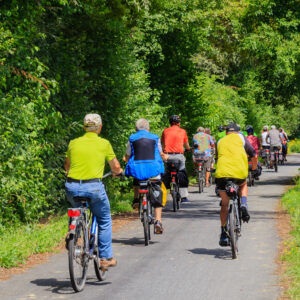 Cyclists,In,The,Forest.,A,Group,Of,Cyclists,Riding,On Escursioni e viaggi